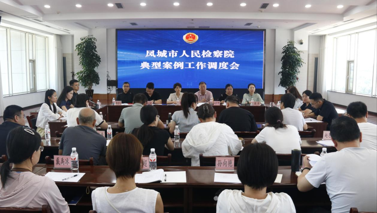 凤城市检察院召开典型案例工作调度会